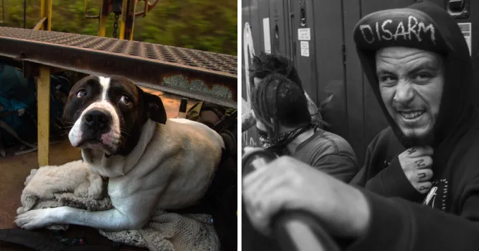 Three Years Of Trainhopping All Across Canada