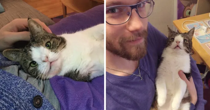 10 Reasons Why You Should Adopt A Shelter Cat