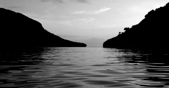 I Photograph Nature In Black And White