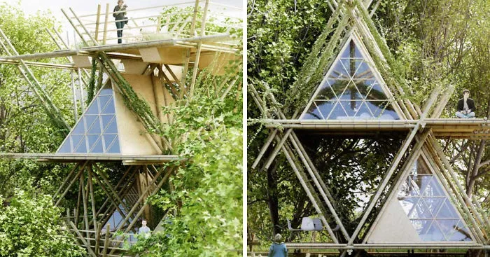 This Unique Hotel Concept Lets You Sleep ‘With The Birds’