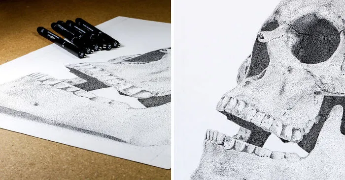 I Drew A Detailed Skull Drawing Using The Stippling Technique