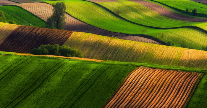 For 20 Years I've Been Photographing European Fields, Which Look Like Sea Waves