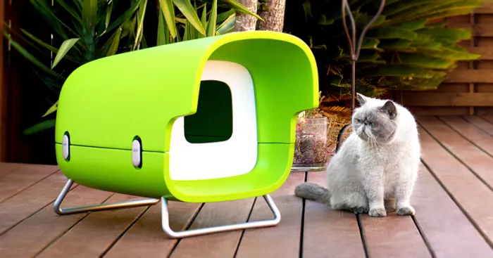 I Designed A Dream House For My Cat