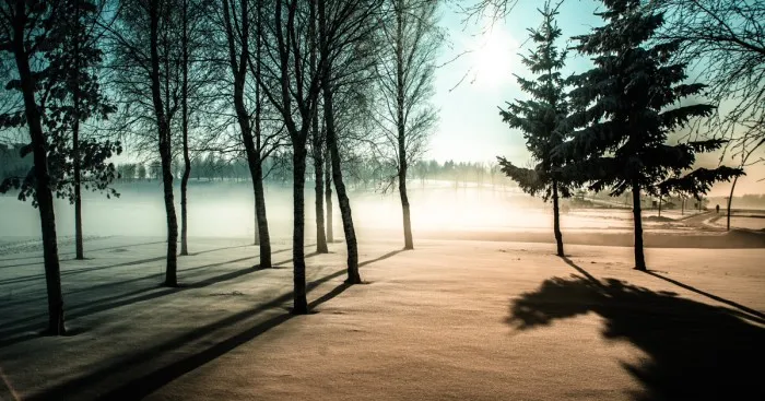 Photographer Captures The Harmony Between Nature And His Beloved Hometown