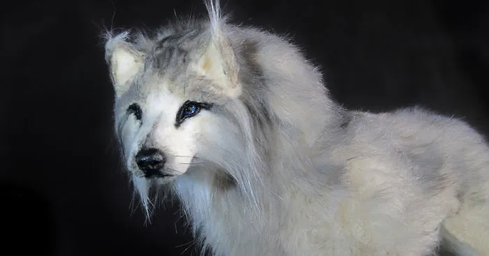 My Realistic Creatures Look Like They Are From A Fantasy World