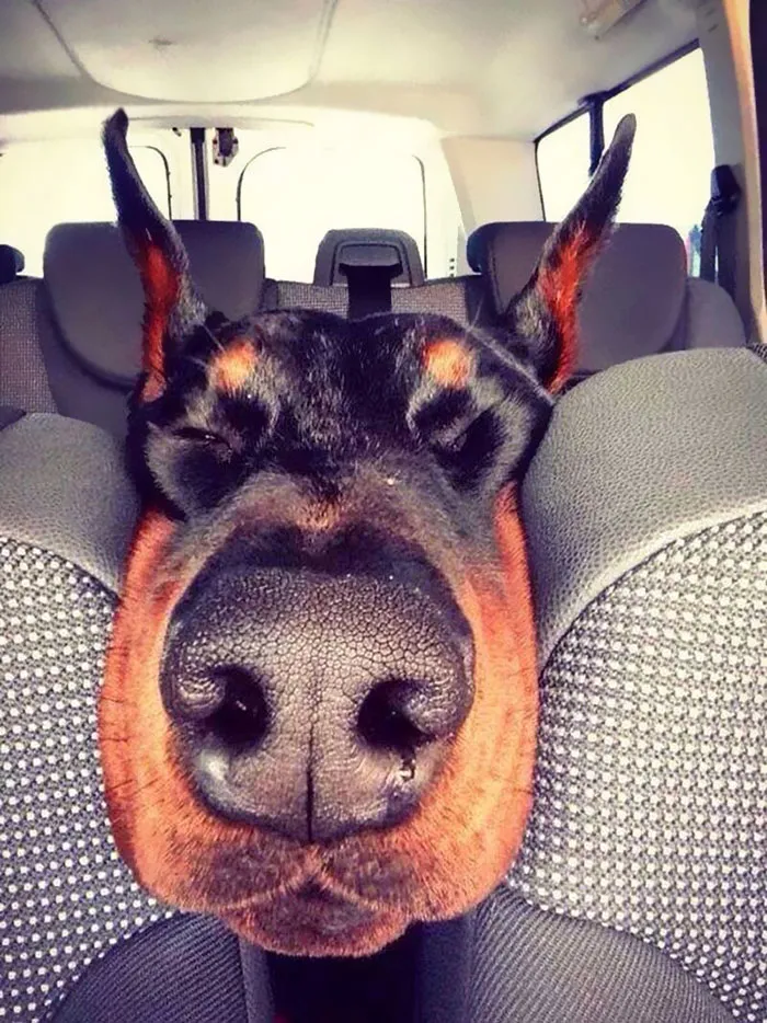 Are We There Yet?