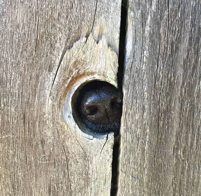 Whatcha Doin?