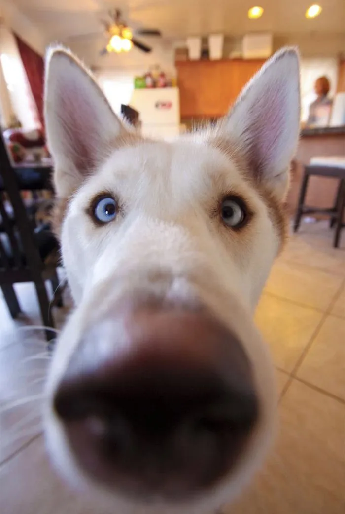 Am I In Your Personal Space?
