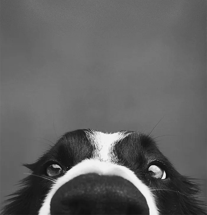 Hi. Hi There. Hi Friend