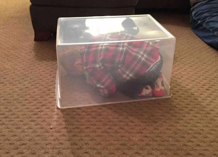 This Is Where My Son Decided To Hide For Hide And Seek
