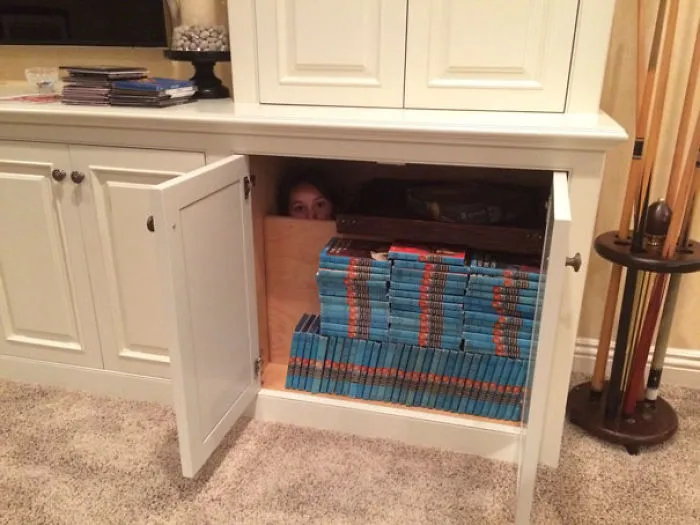 Hide And Seek Champion