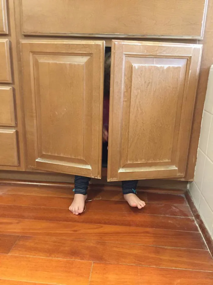 Hide And Seek Pro