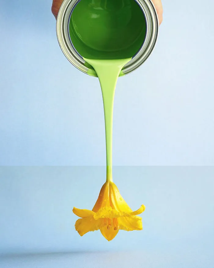 Green Paint + Daylily