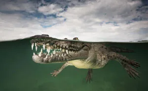 62 Breathtaking Photos Taken Between Two Worlds