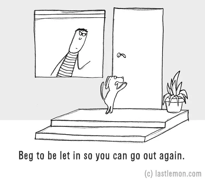 How To Be A Dog (21 Pics)