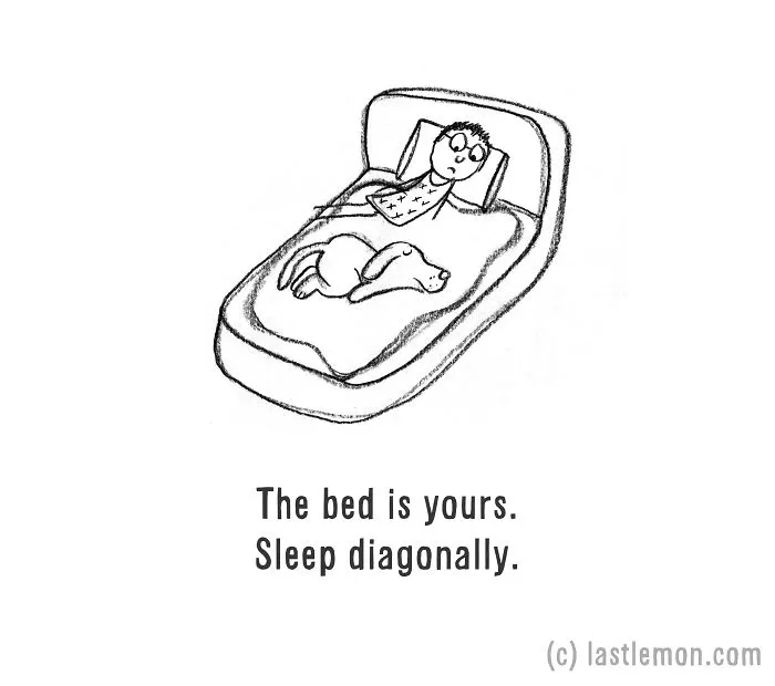 How To Be A Dog (21 Pics)