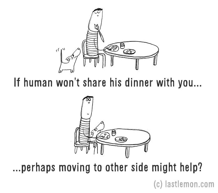 How To Be A Dog (21 Pics)