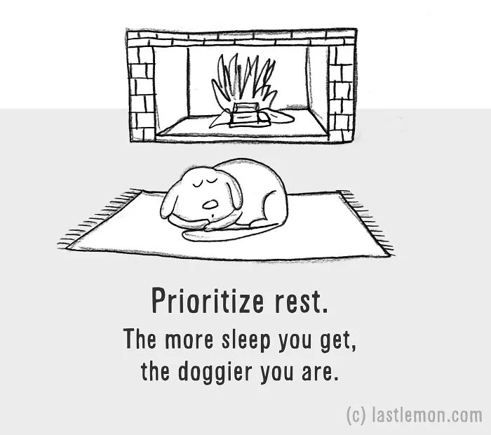 How To Be A Dog (21 Pics)