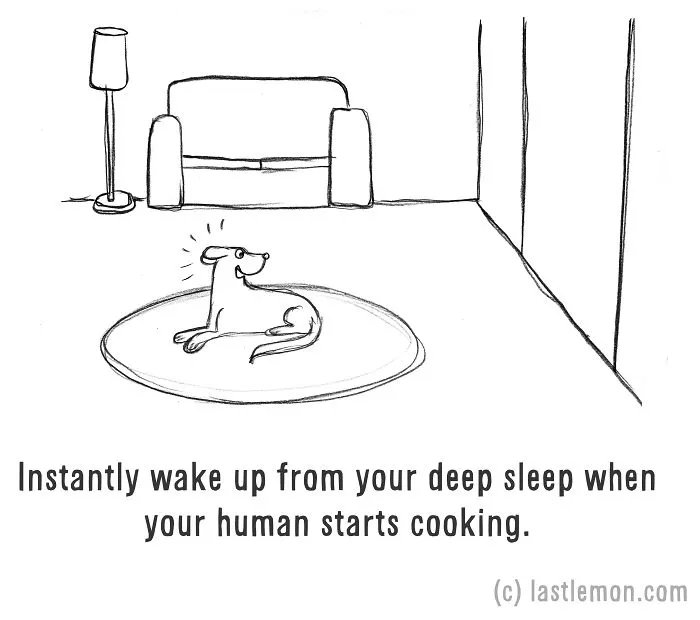 How To Be A Dog (21 Pics)