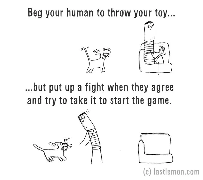 How To Be A Dog (21 Pics)