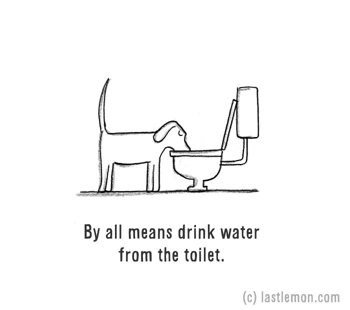 How To Be A Dog (21 Pics)