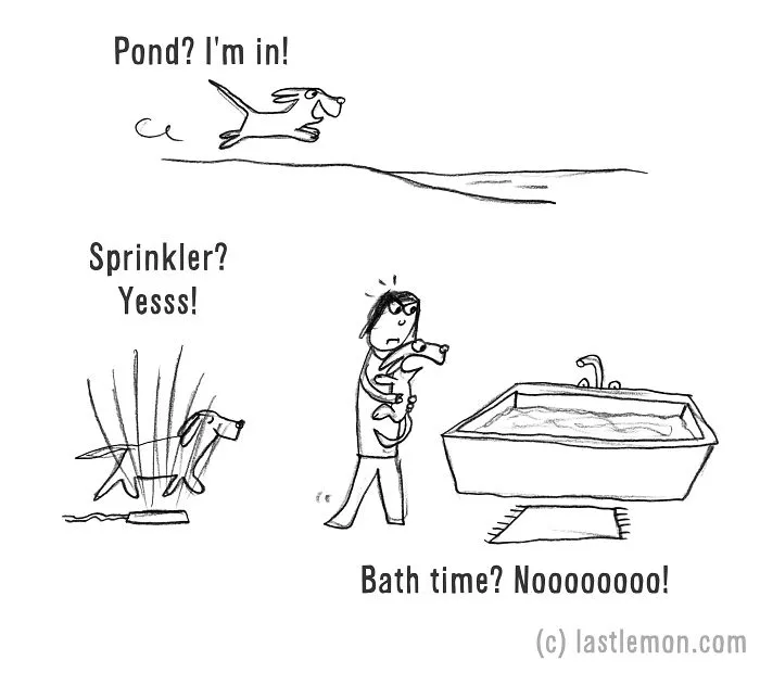 How To Be A Dog (21 Pics)