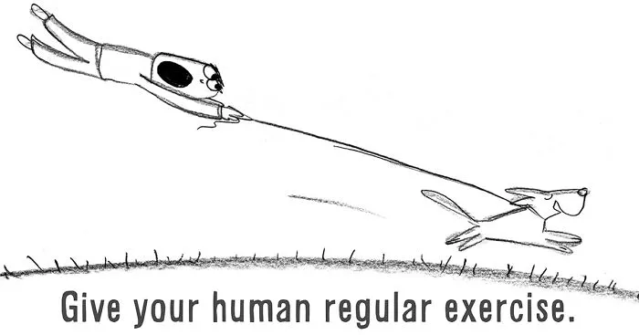 How To Be A Dog (21 Pics)