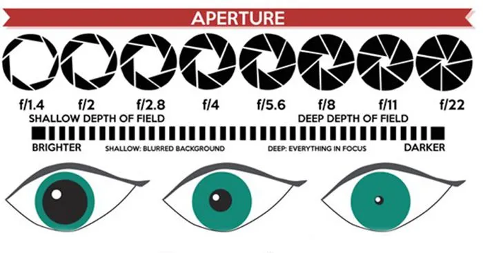 I Made A DSLR Camera Settings Cheat Sheet