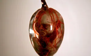 I Made A Little Embryo Inside Egg.