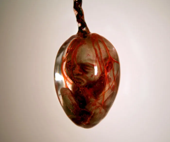 I Made A Little Embryo Inside Egg.
