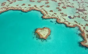 I Captured Breathtaking Sea And Sand Patterns From A Helicopter (Can You Find The Hidden Dolphin?)