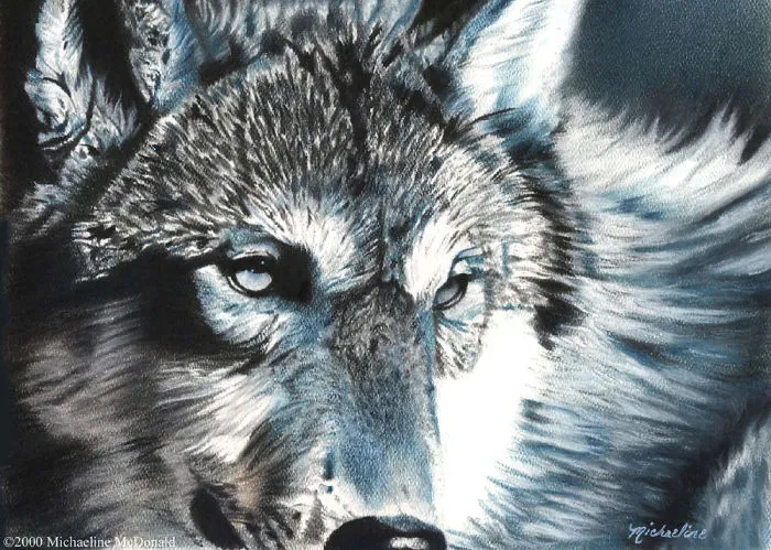 I Love Painting Animals