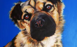 I Paint Pet Portraits One Hair At A Time