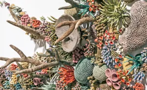 I Sculpted Hundreds Of Porcelain Sea Creatures To Send A Message About Climate Change