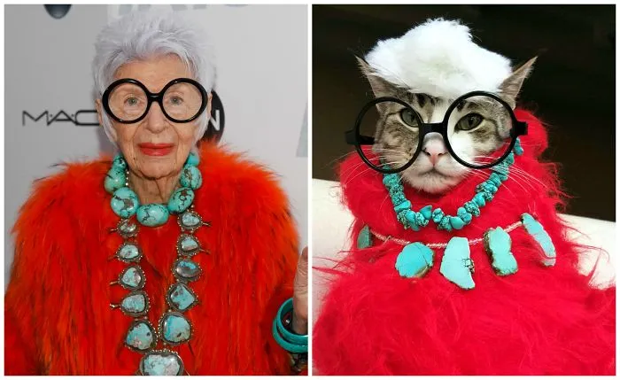 Elderly woman and cat dressed alike with large glasses, turquoise jewelry, and red fur showcasing celebrity doppelganger animals.