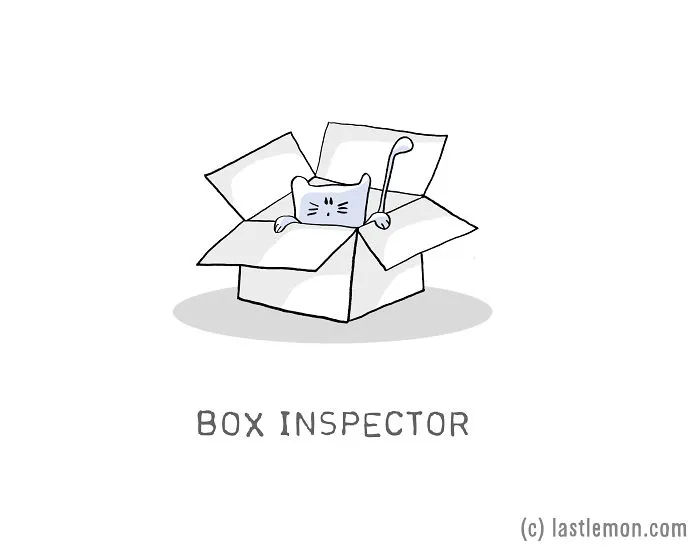 17 Very Important Cat Jobs