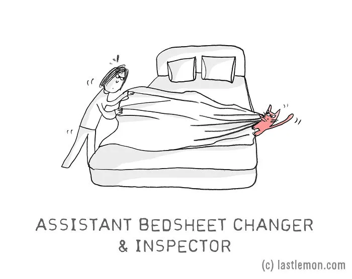 17 Very Important Cat Jobs