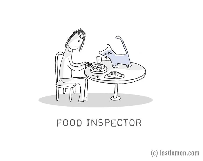 17 Very Important Cat Jobs