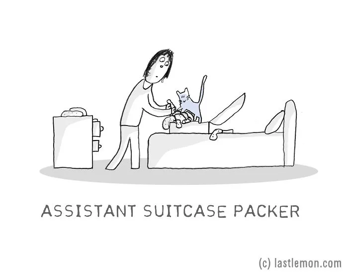 17 Very Important Cat Jobs