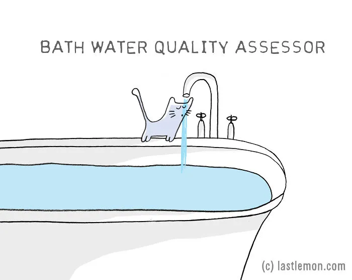 17 Very Important Cat Jobs