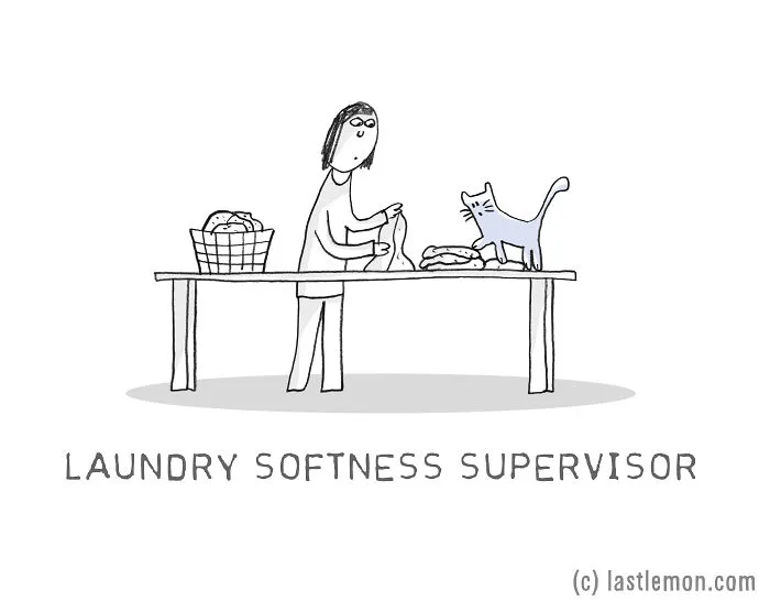 17 Very Important Cat Jobs