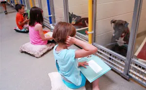 Children Practice Their Reading Skills To Calm Shy Shelter Dogs