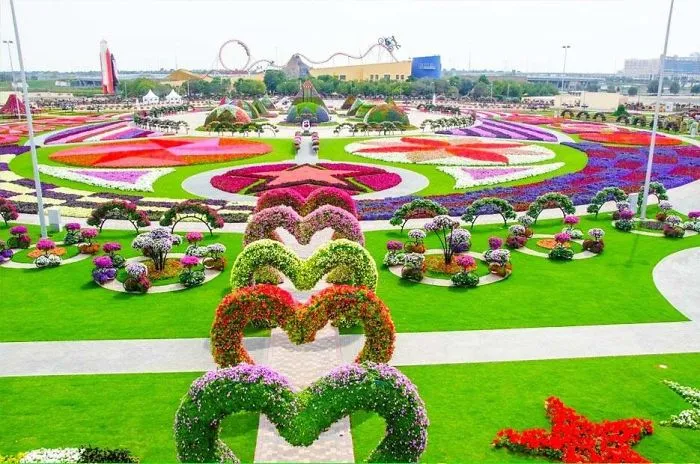 Like A Garden
