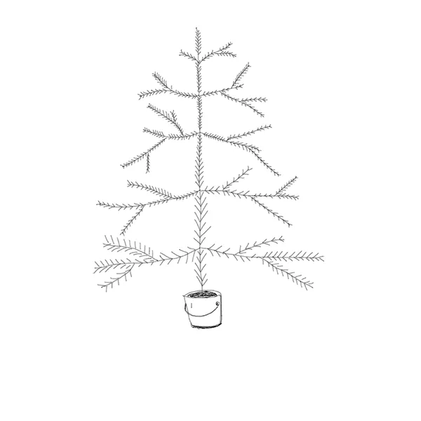 Christmas Is Over?