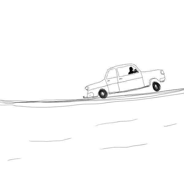 Carwine