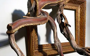 I Give A Second Life To Dead Trees By Fusing Them With Picture Frames