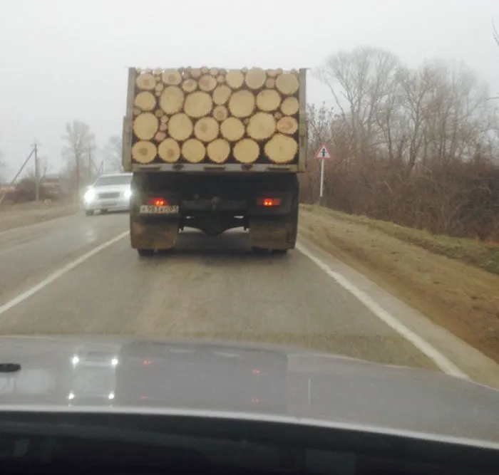 Perfectly Stacked Logs