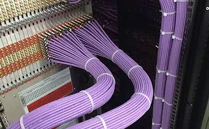 77 Perfectionists At Work