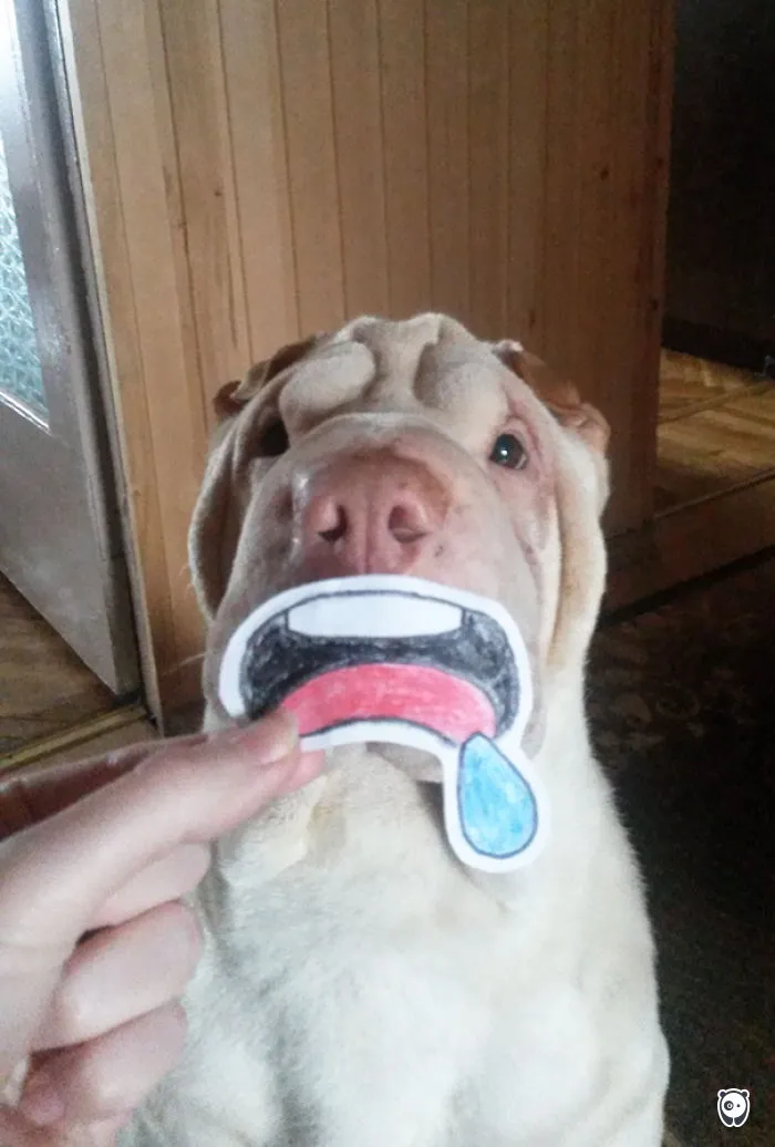 Where's My Cookie, Woman ?