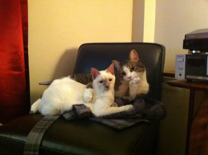 Could you take a picture of us, ma'am?